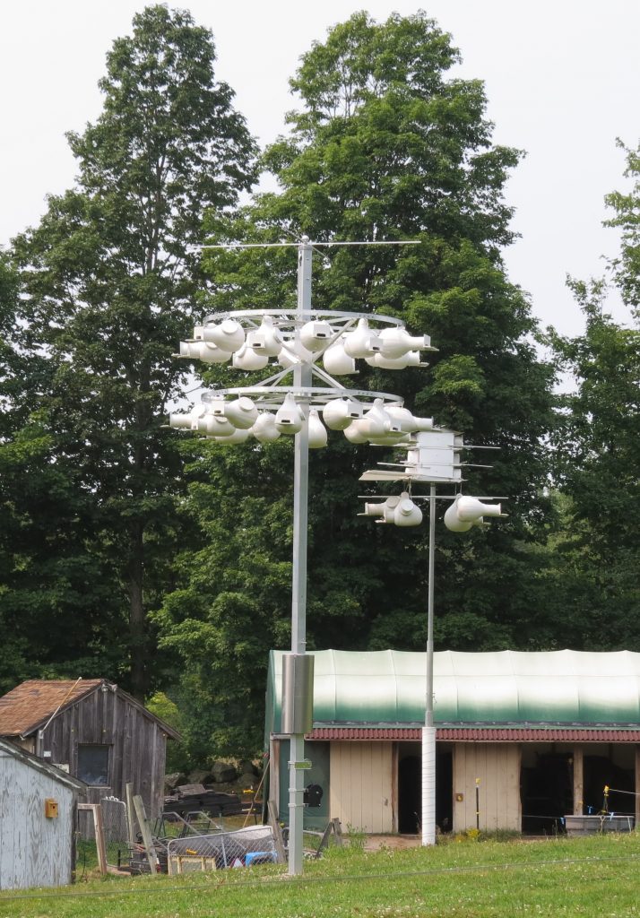 The Purple Martin house set up.