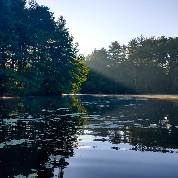 View of the Cocheco River along the Dover Community Trail. Photo by Cameron Johnson.