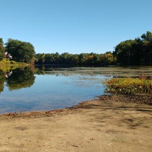 Horseshoe Pond (fall) by Molly Jacobson