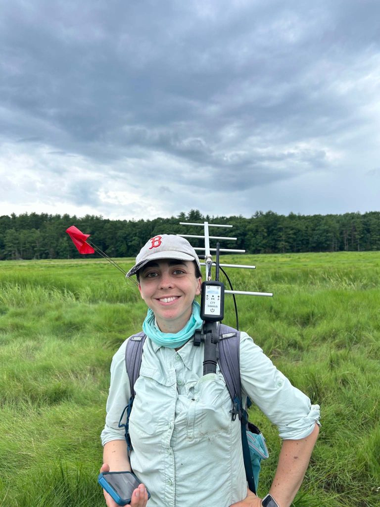 Saltmarsh Sparrow researcher Talia Kuras with radio tracking antenna.